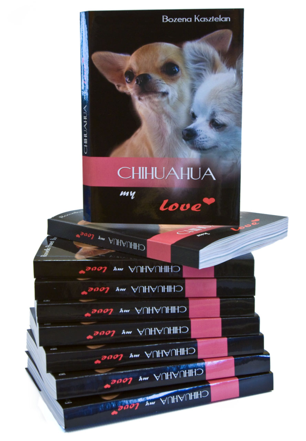 chiuhuahua copia
