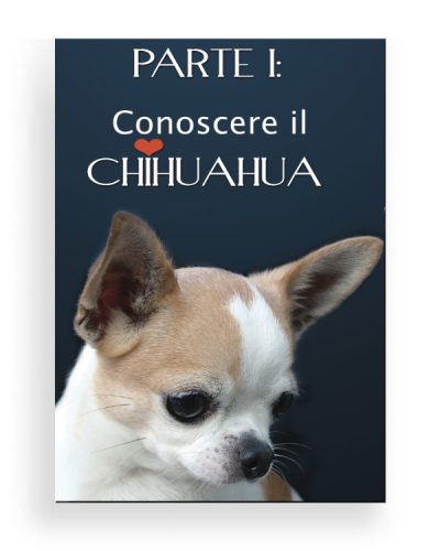 matrice-corniciafphoto